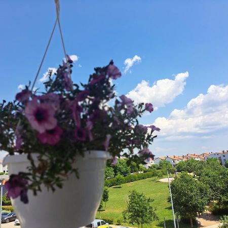 Battistella'S Near The Sea Apartment Rovinj Exterior foto